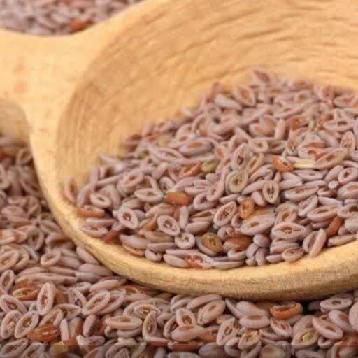 قیمت فله اسفرزه